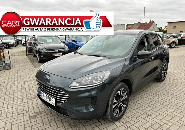 samochody osobowe Ford Escape cena 104000 przebieg: 14000, rok produkcji 2022 z Częstochowa